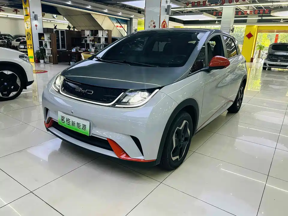 BYD dolphin