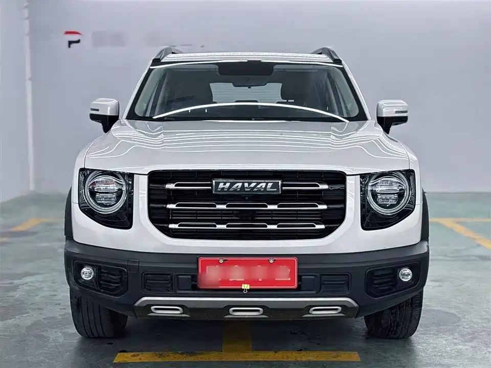 Haval Big dog