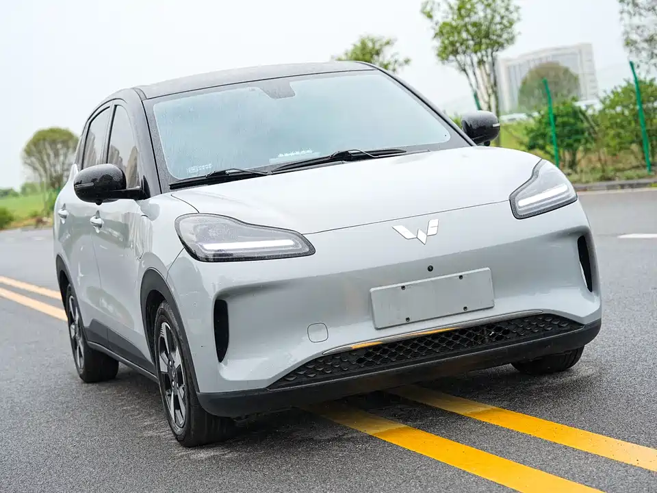 Wuling Wuling Bingguo PLUS