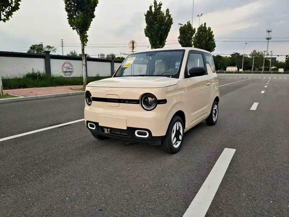 Geely Galaxy panda