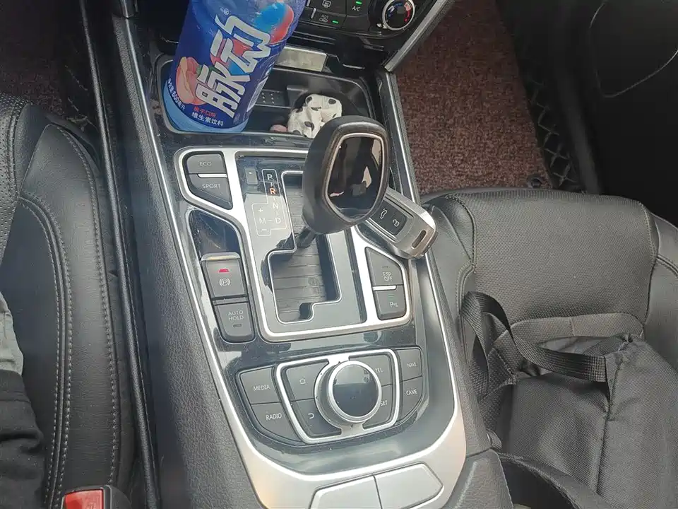 Geely Borui
