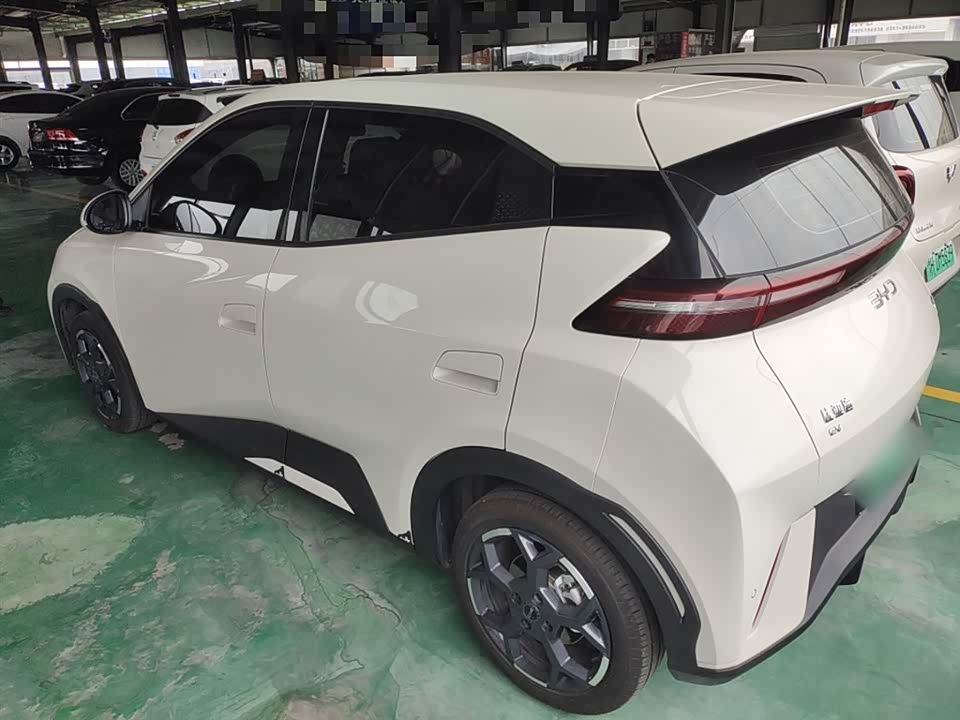BYD Seagull