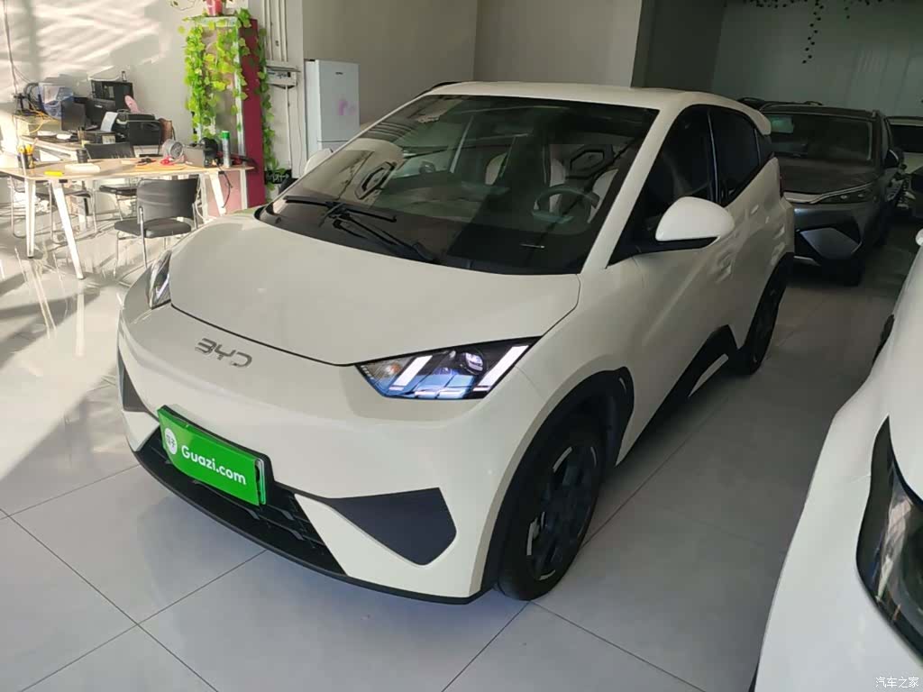 BYD Seagull, 2025 2
