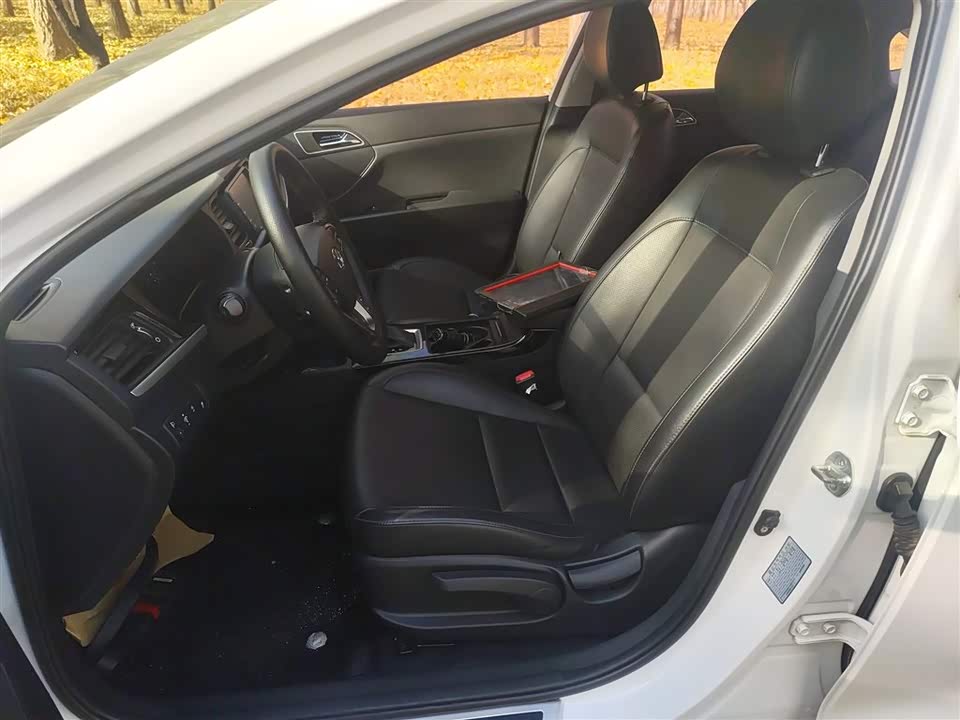 Hyundai Name picture