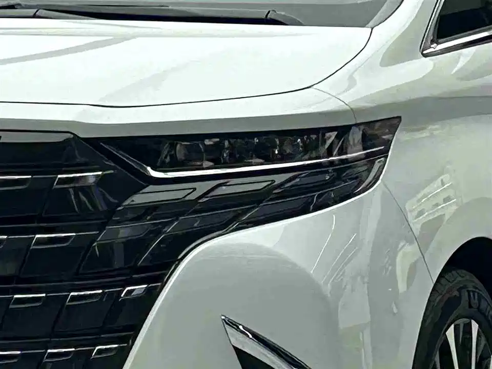 Toyota Elfa