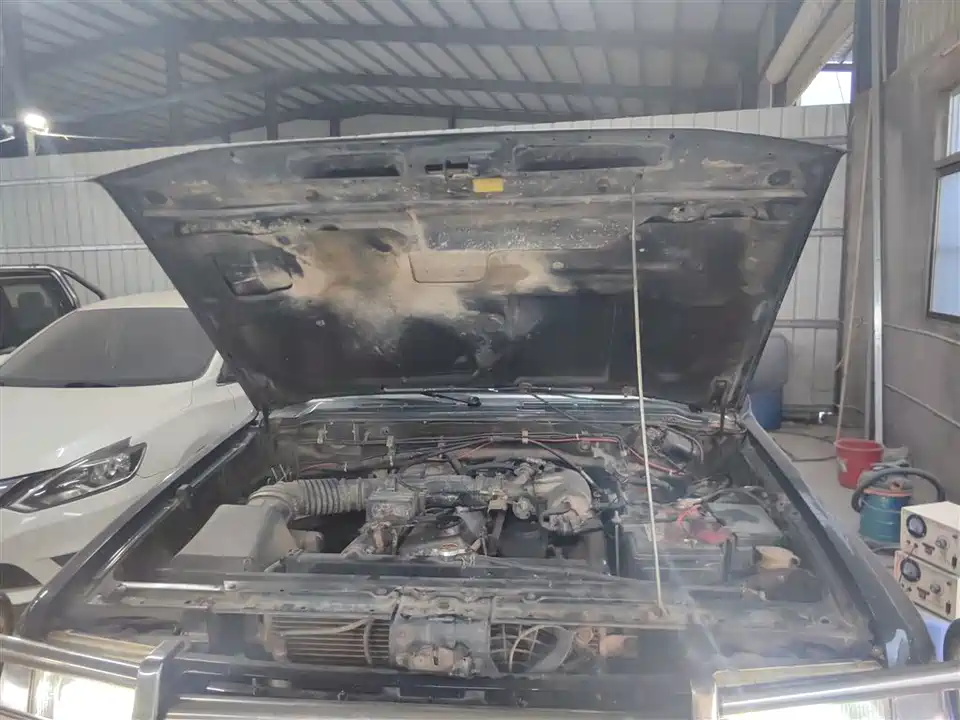 Leopaard Black King Kong