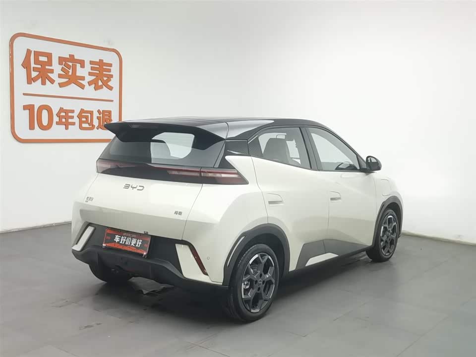 BYD Seagull