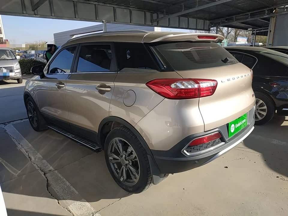 Leopaard Cheetah CS9