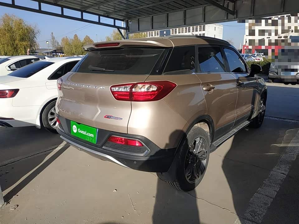 Leopaard Cheetah CS9