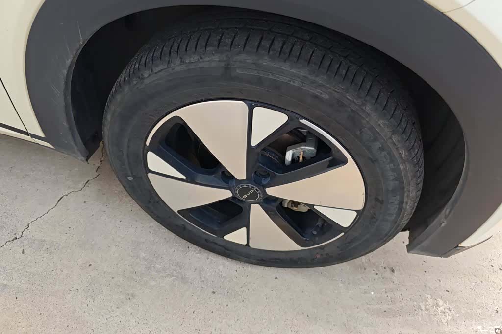 BYD Dolphin, 2023 6