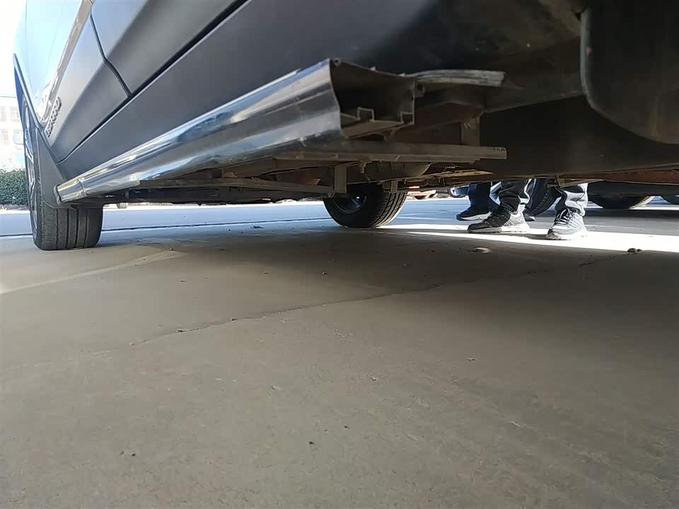 Leopaard Cheetah CS9