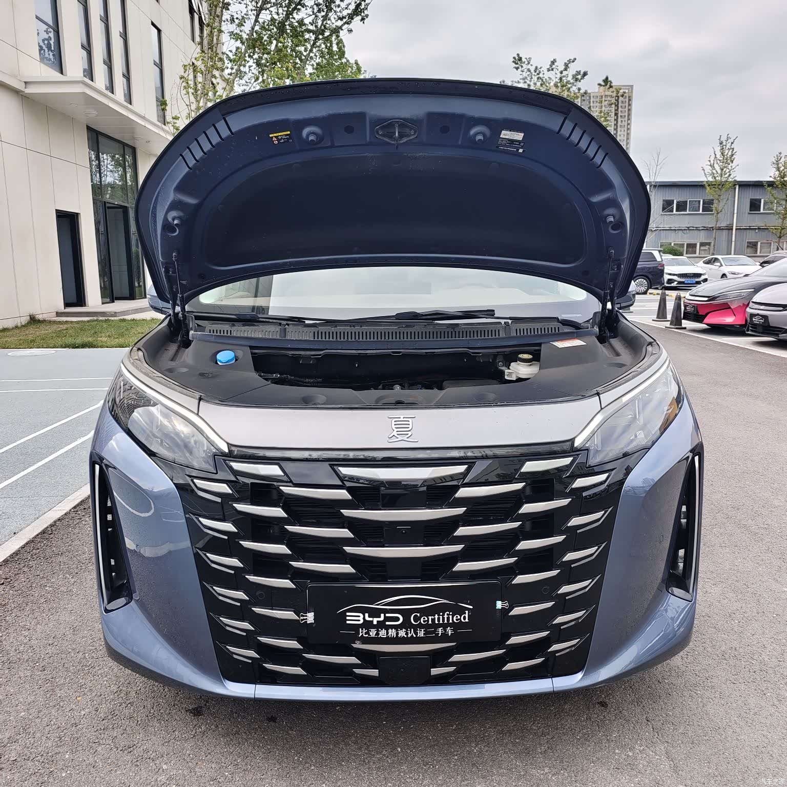 BYD Xia, 2025 2