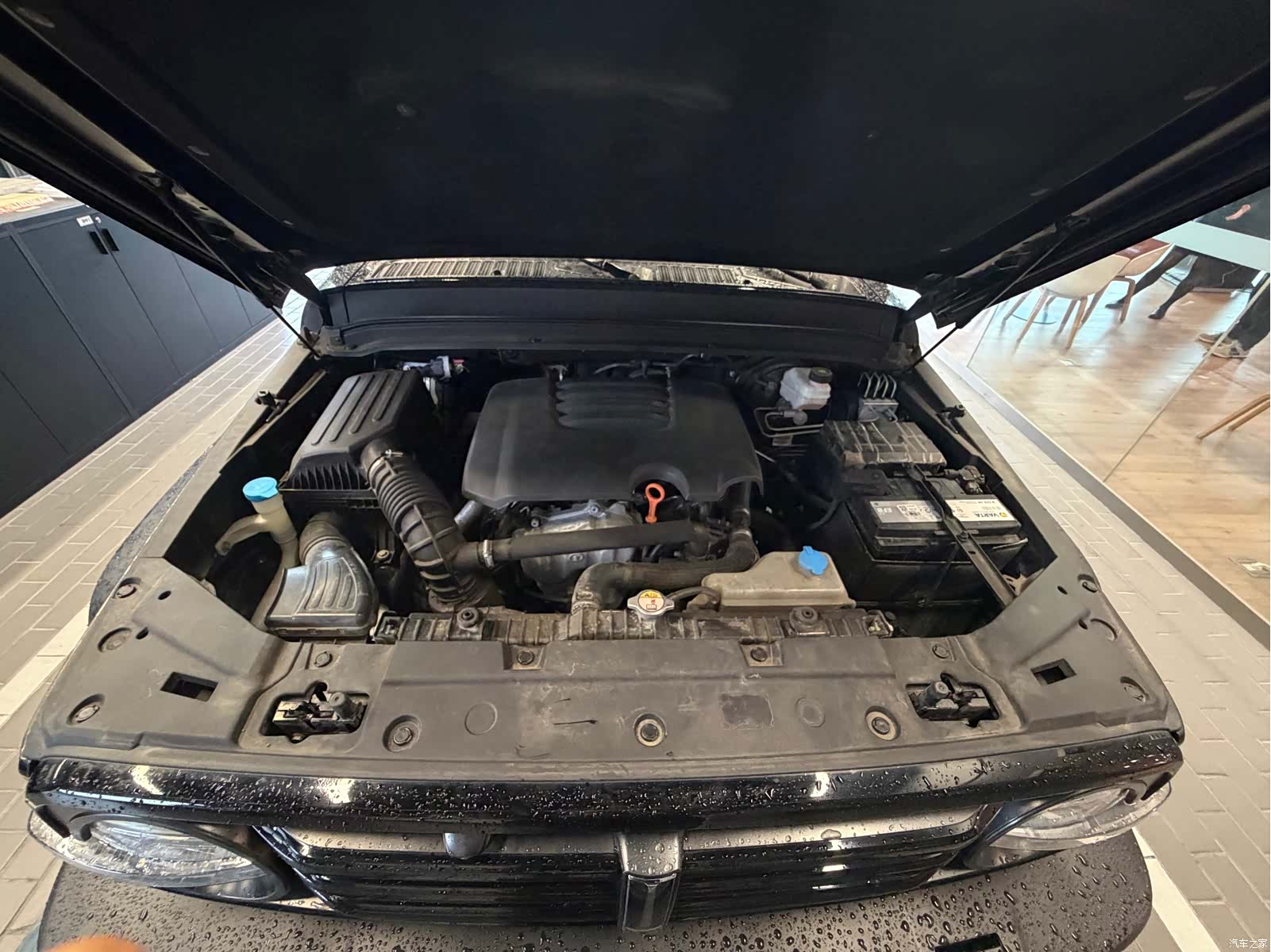 Tank 300, 2021 19