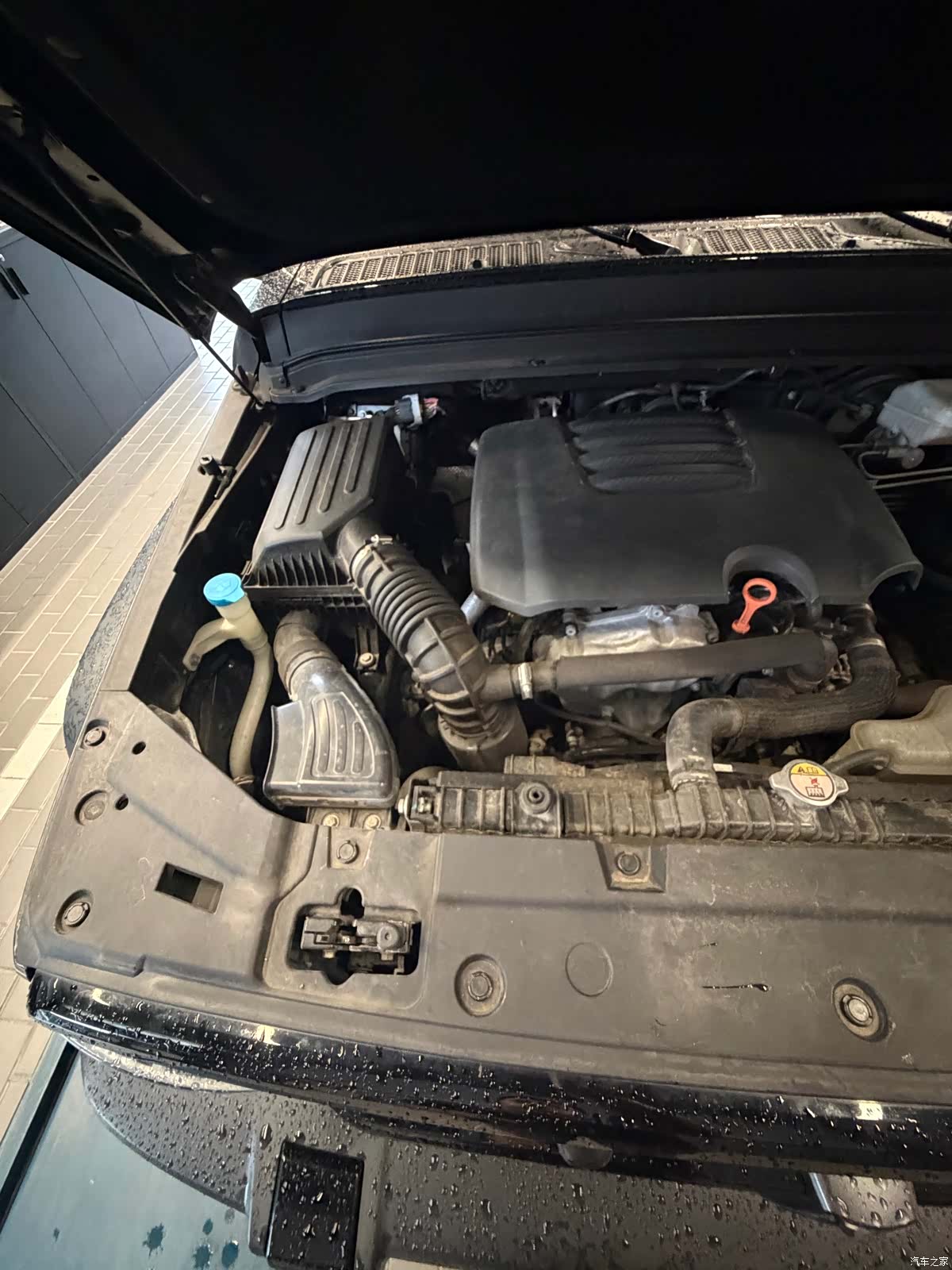 Tank 300, 2021 20