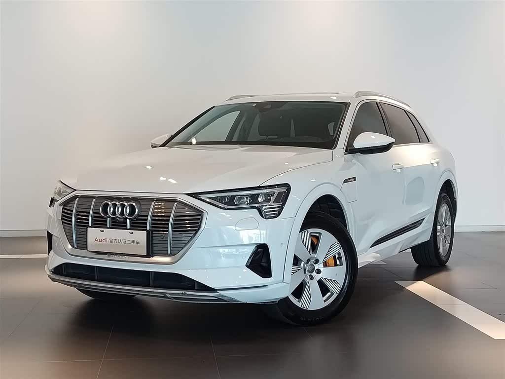Audi e-tron 2019 55 quattro Fashion