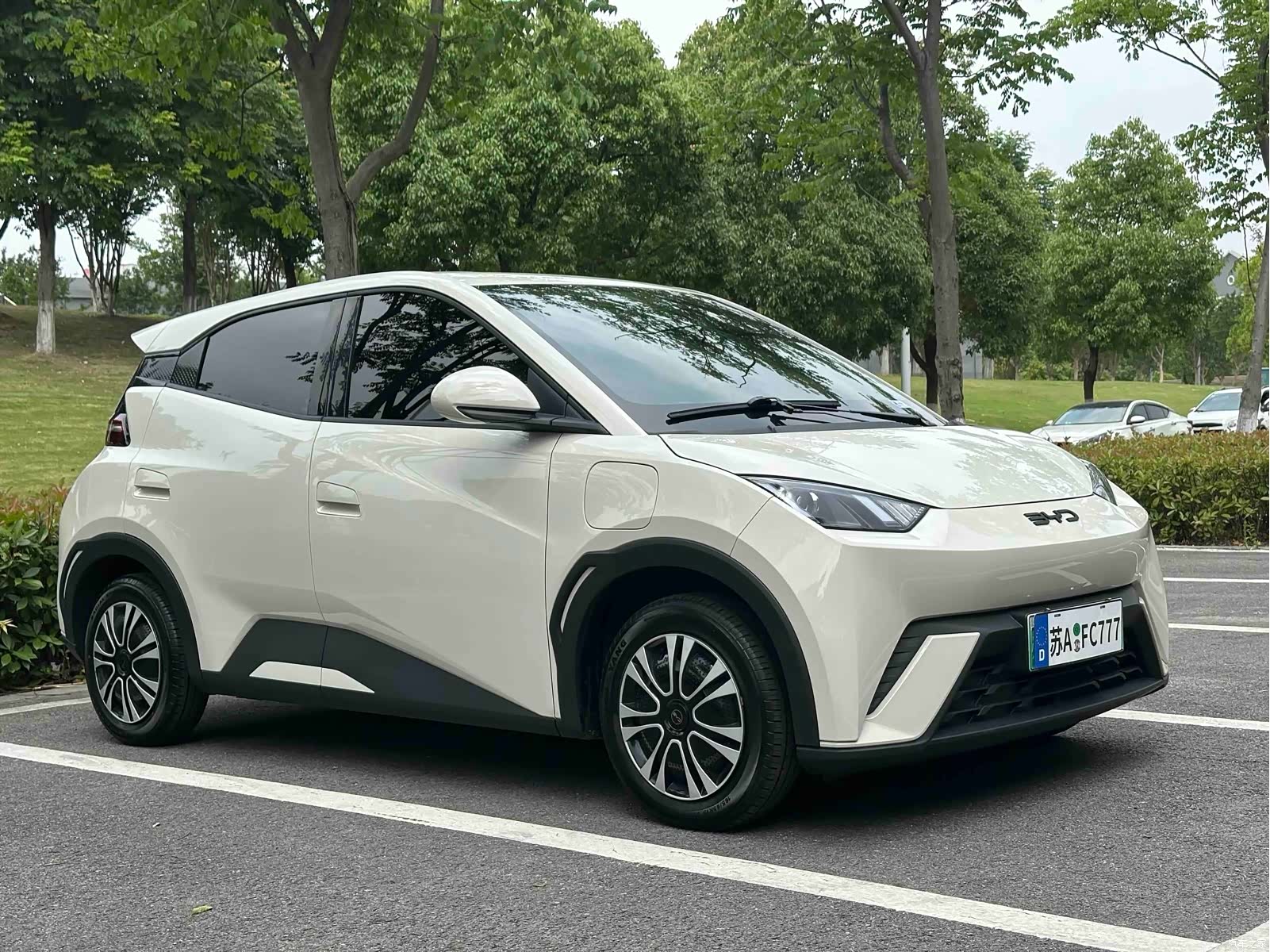 BYD Seagull, 2024 3