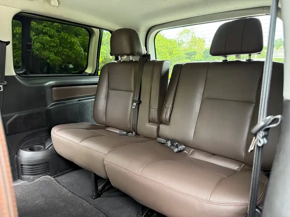 Forthing Lingzhi PLUS