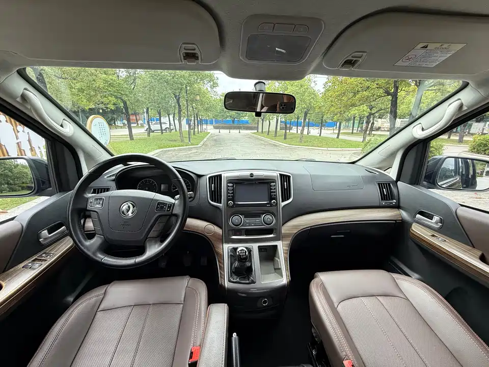 Forthing Lingzhi PLUS