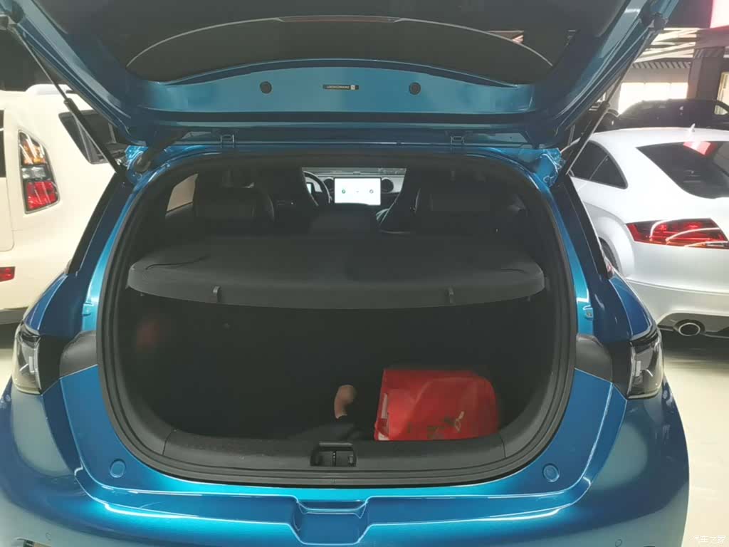 BYD Dolphin, 2022 19