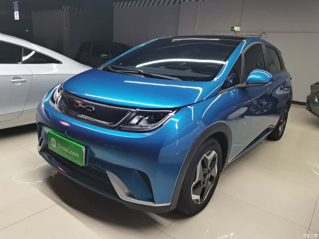 BYD Dolphin, 2022 1