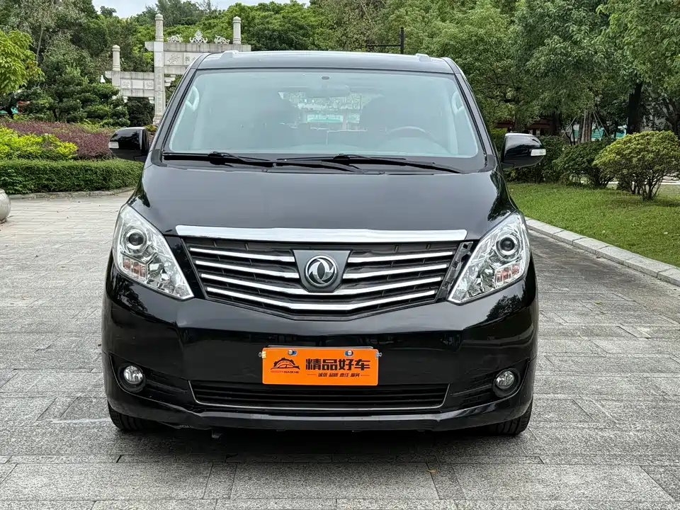 Forthing Lingzhi PLUS