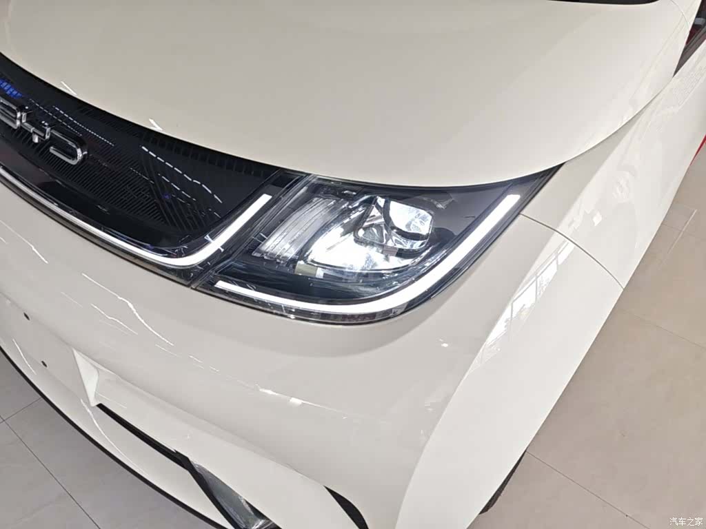 BYD Dolphin, 2023 24