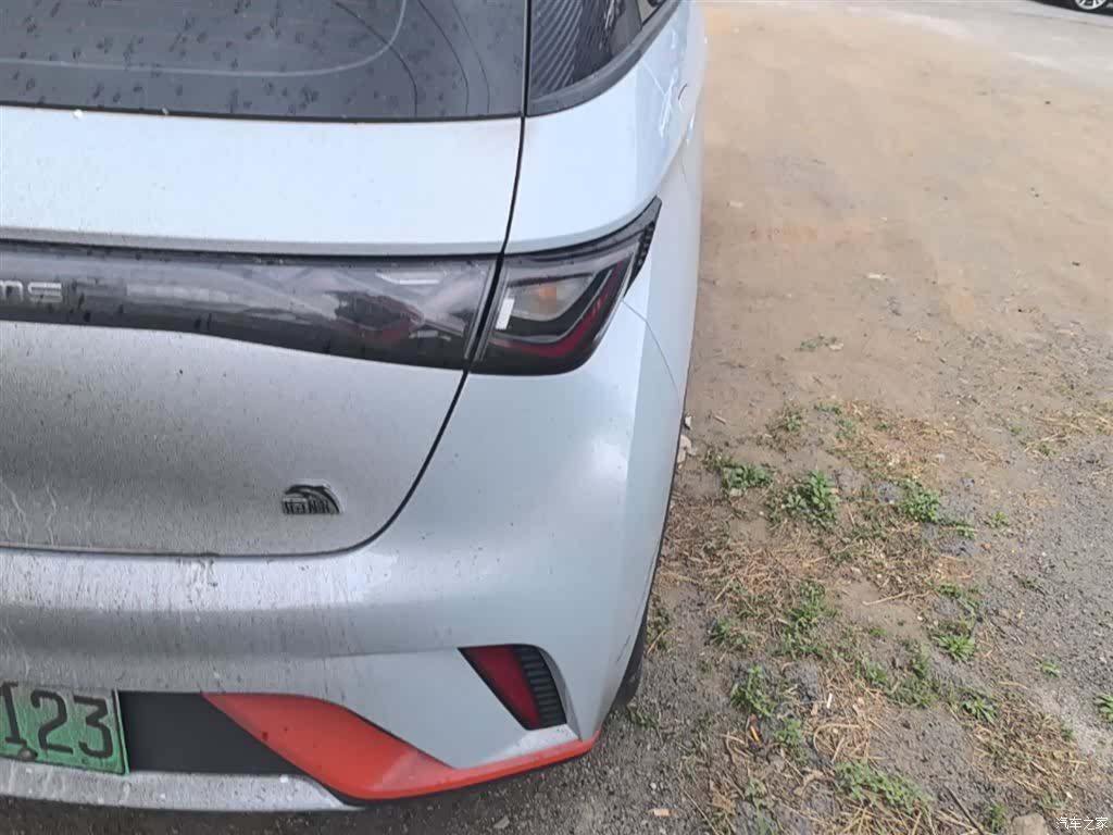 BYD Dolphin, 2021 8