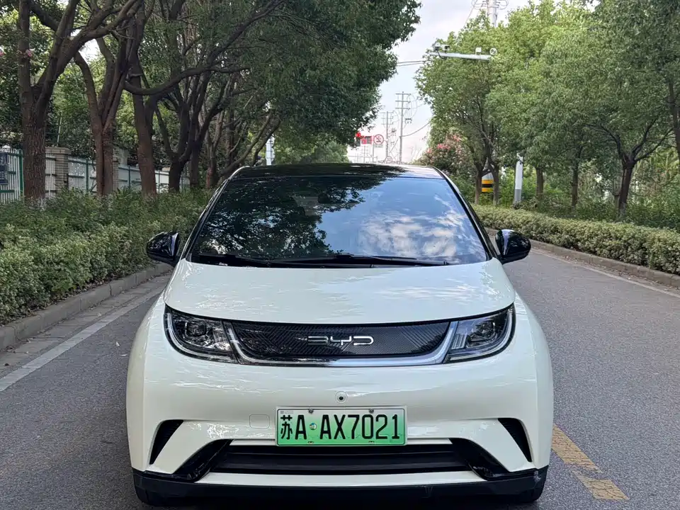 BYD dolphin