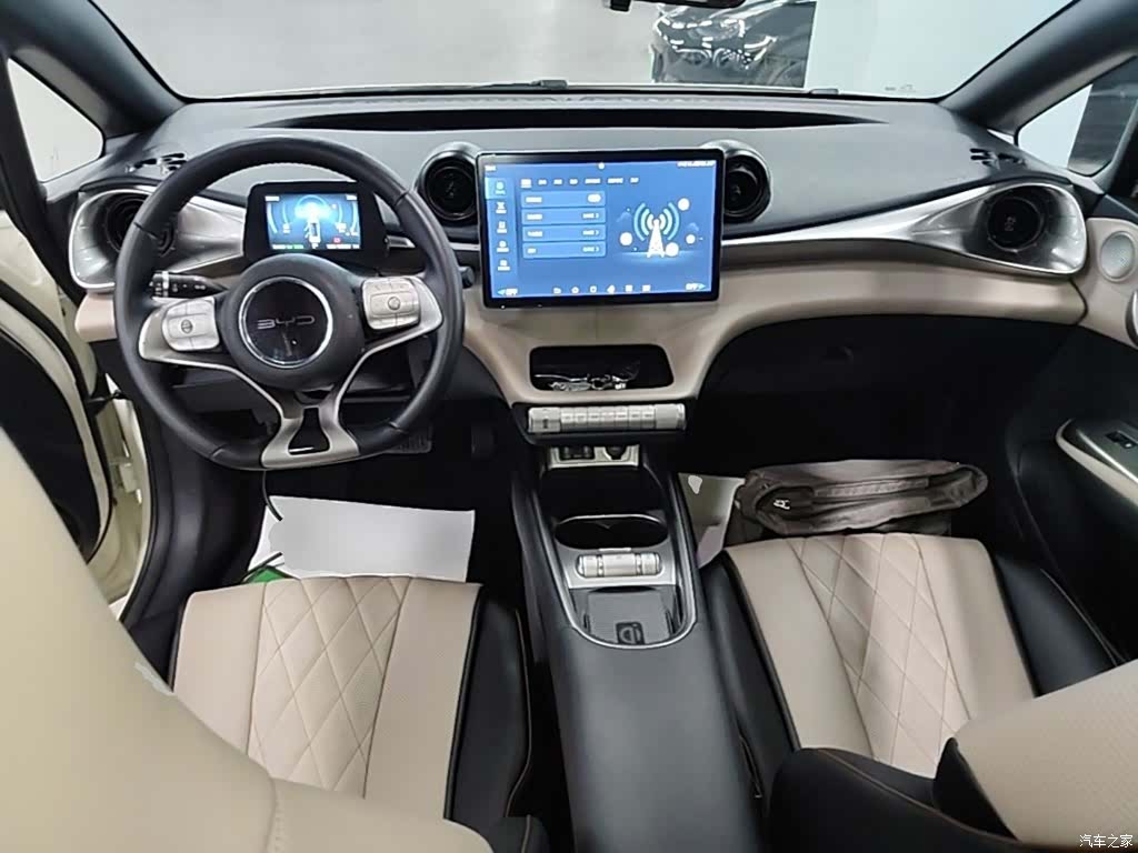 BYD Dolphin, 2023 10