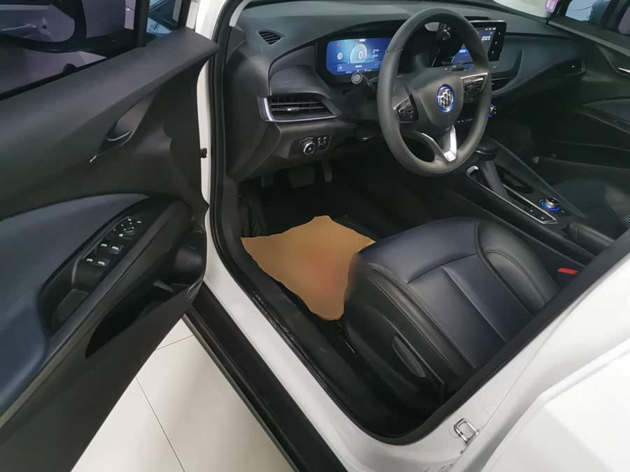 Buick WEY Blue 6 2024, фото 13