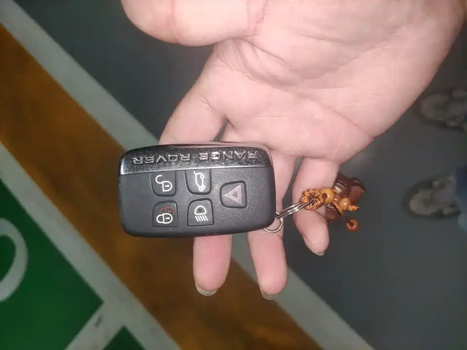 Land Rover Range Rover Star Pulse