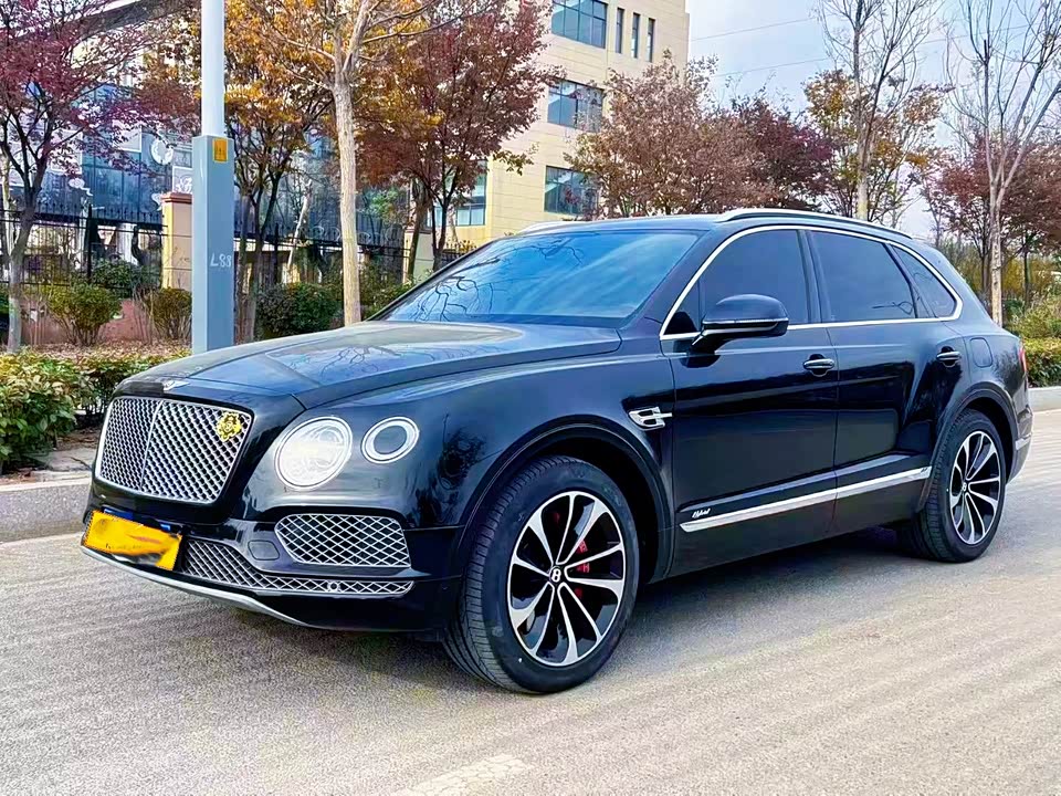 Bentley Timyue