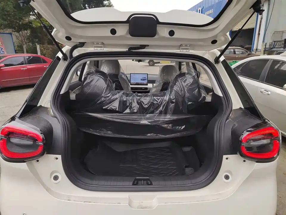 Dongfeng Nammi Nano 01