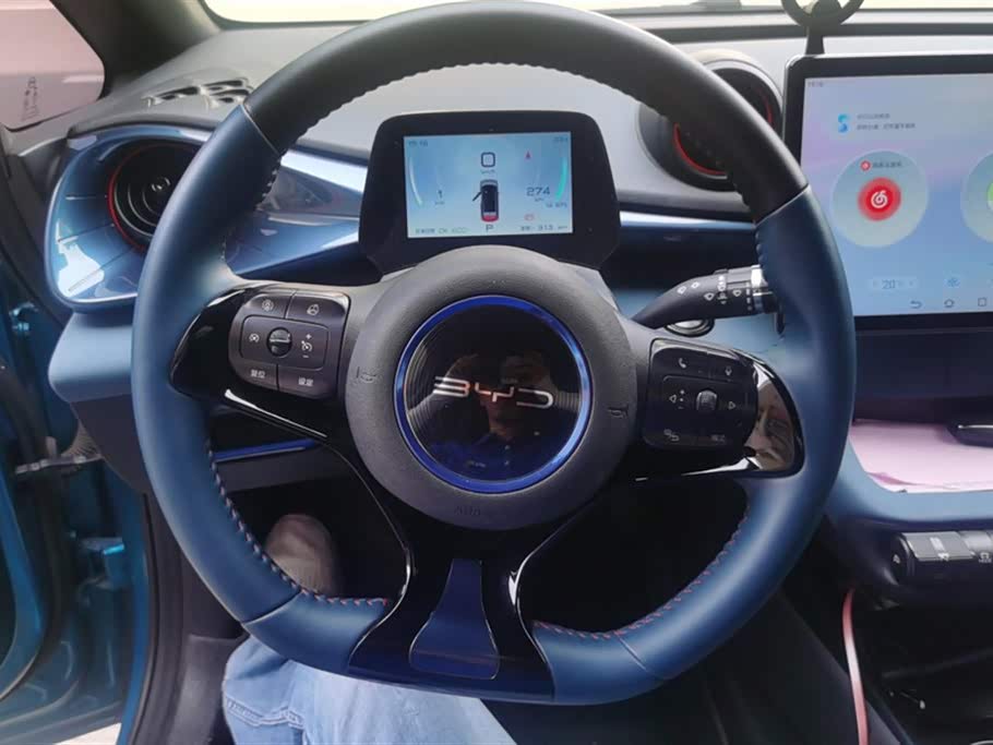 BYD dolphin