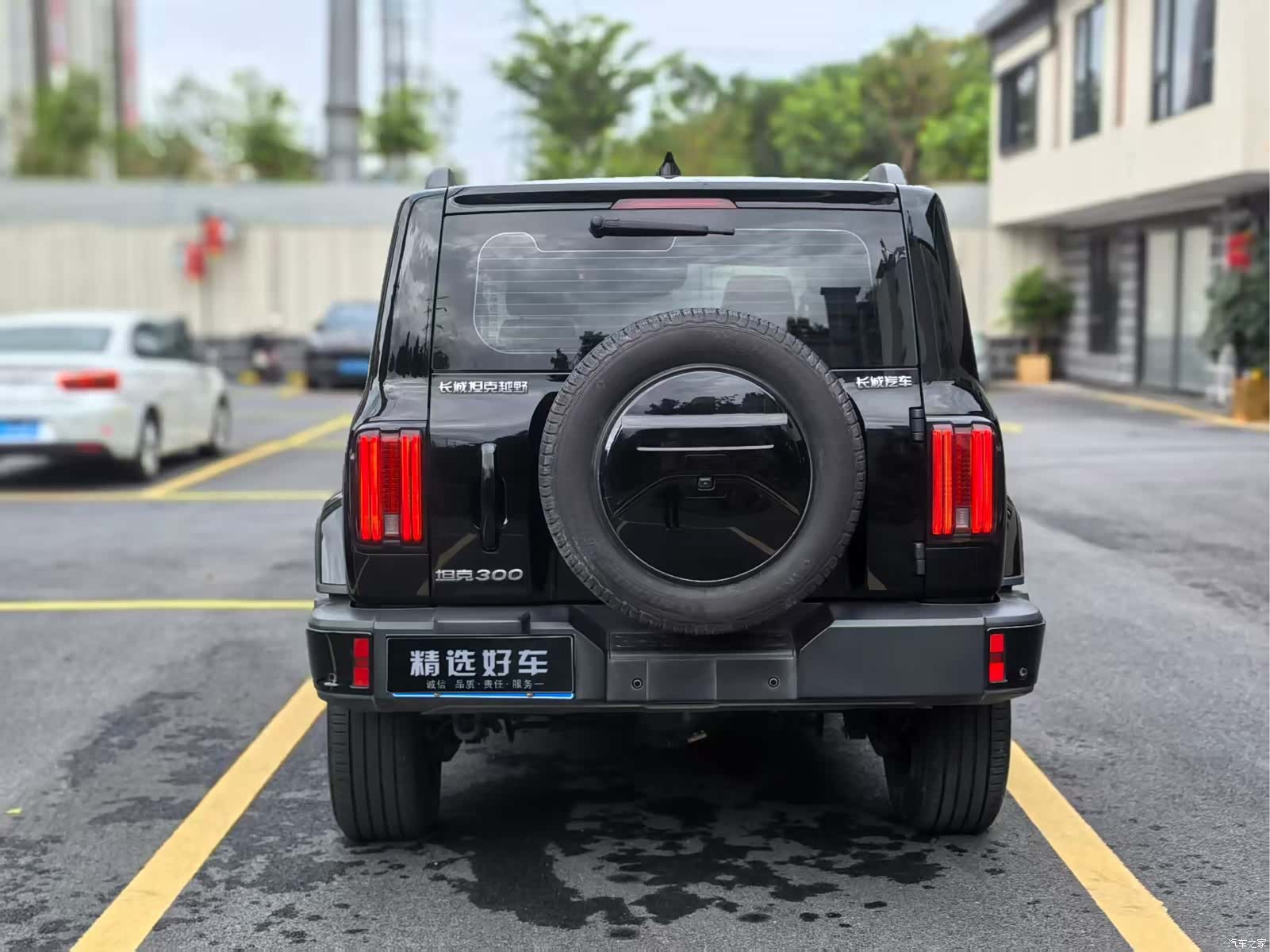 Tank 300, 2023 6
