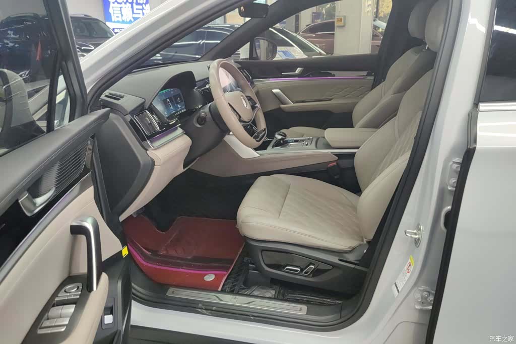 BYD Tang, 2024 9