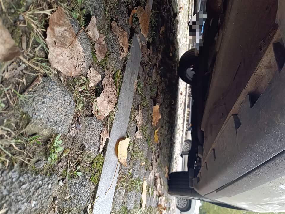 Trumpchi Trumpchi GS4