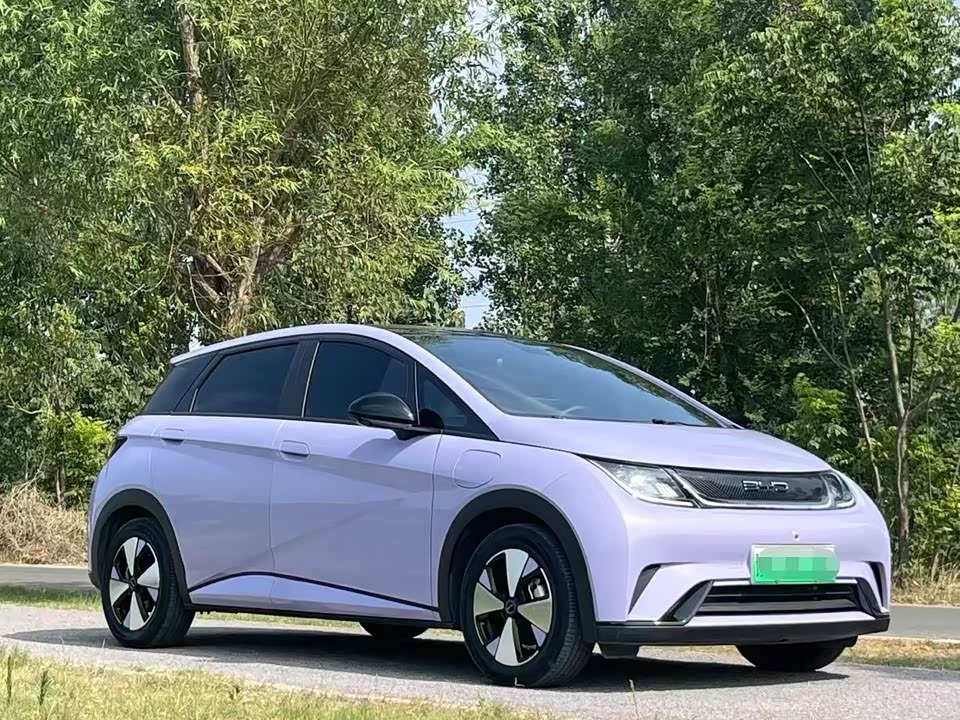 BYD dolphin