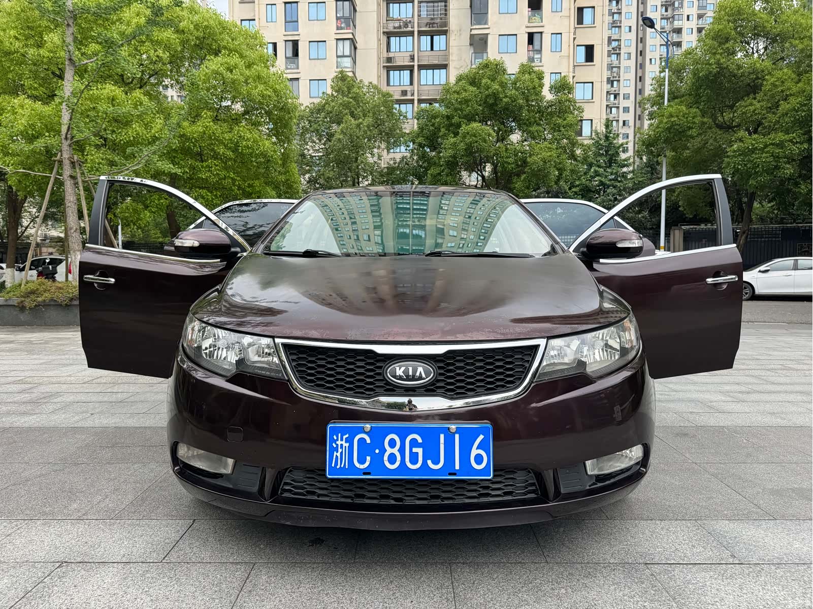 Kia GL, 2010 16