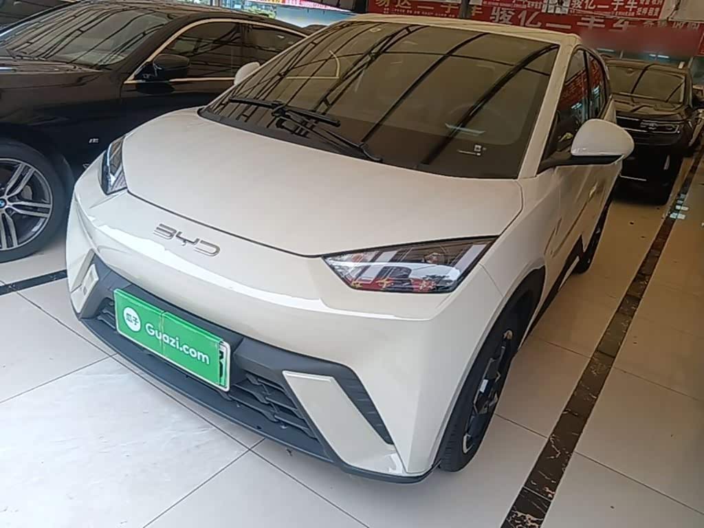 BYD Seagull