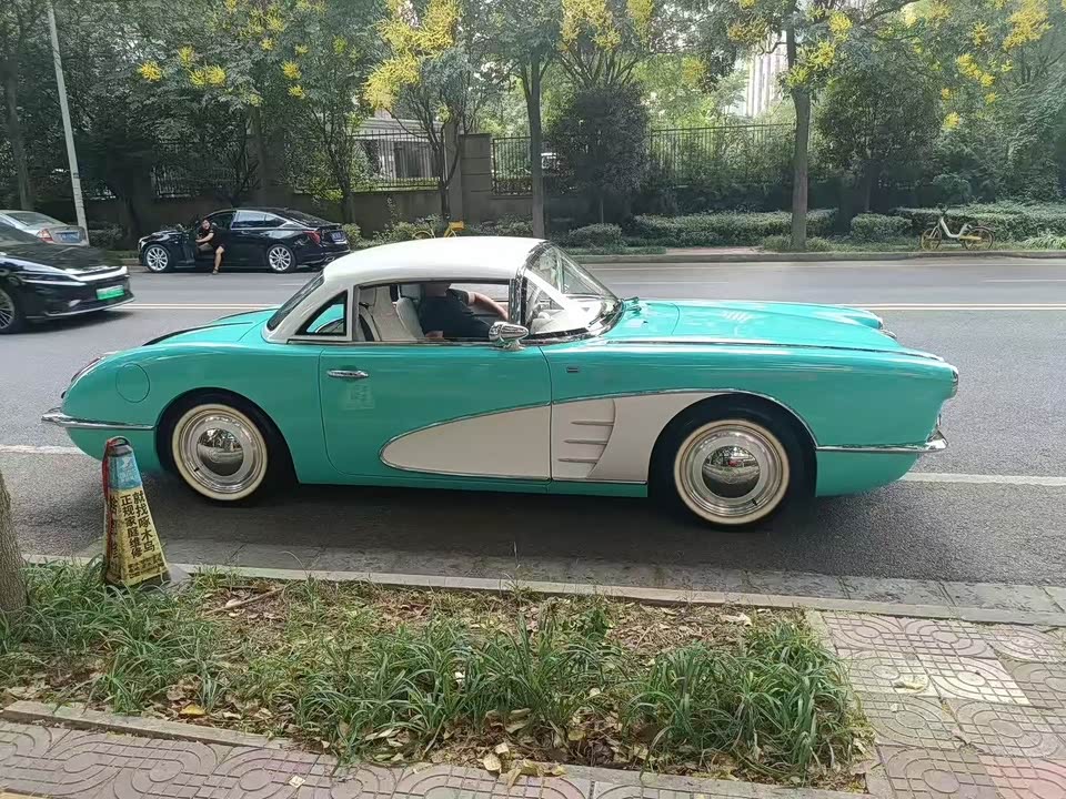 SsangYong SS DOLPHIN