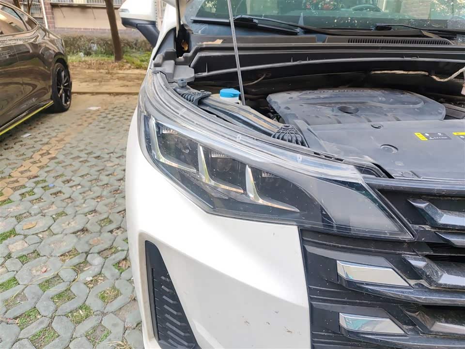 Trumpchi Trumpchi M6