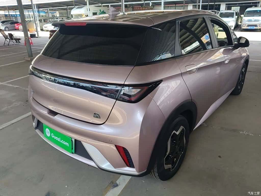 BYD Dolphin, 2022 7