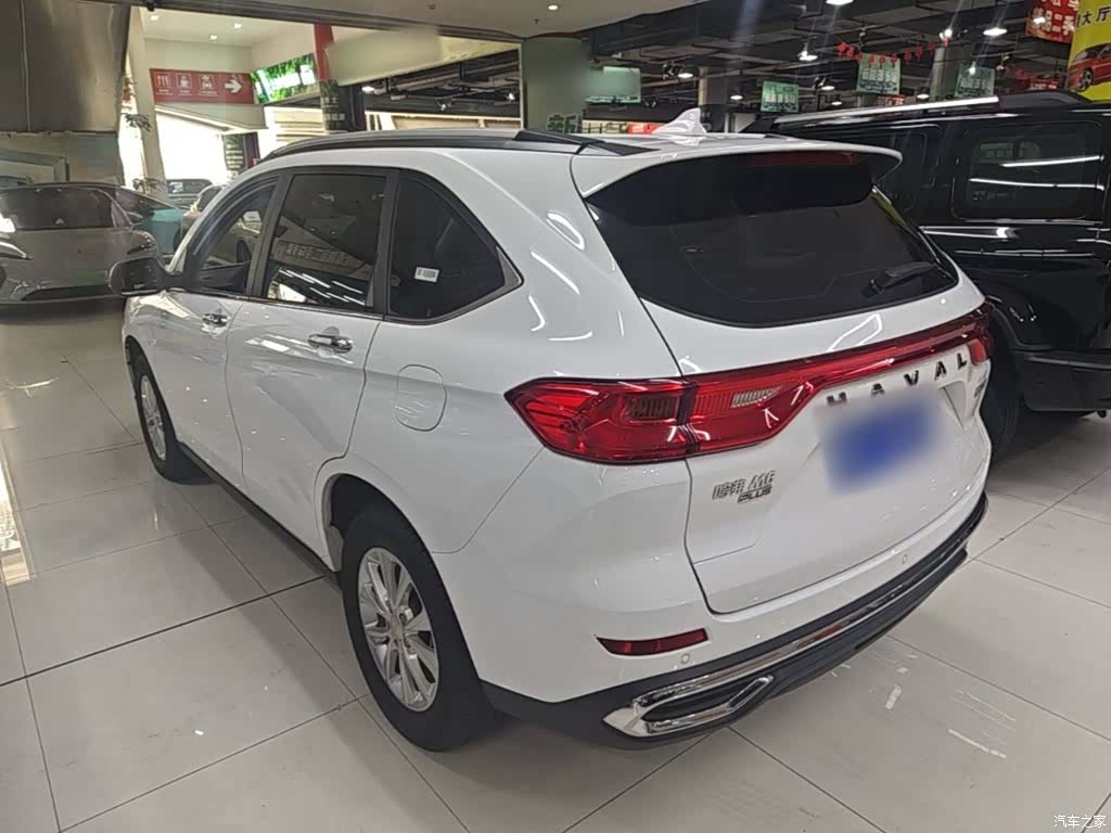Haval M6, 2024 все фото