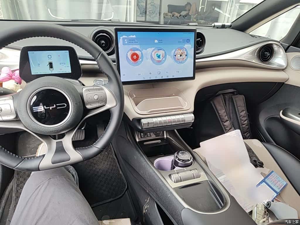 BYD Dolphin, 2024 10
