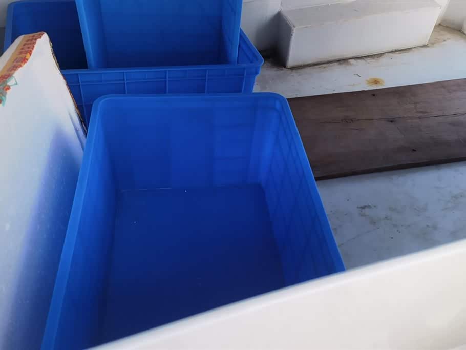 Wuling Light of Wuling