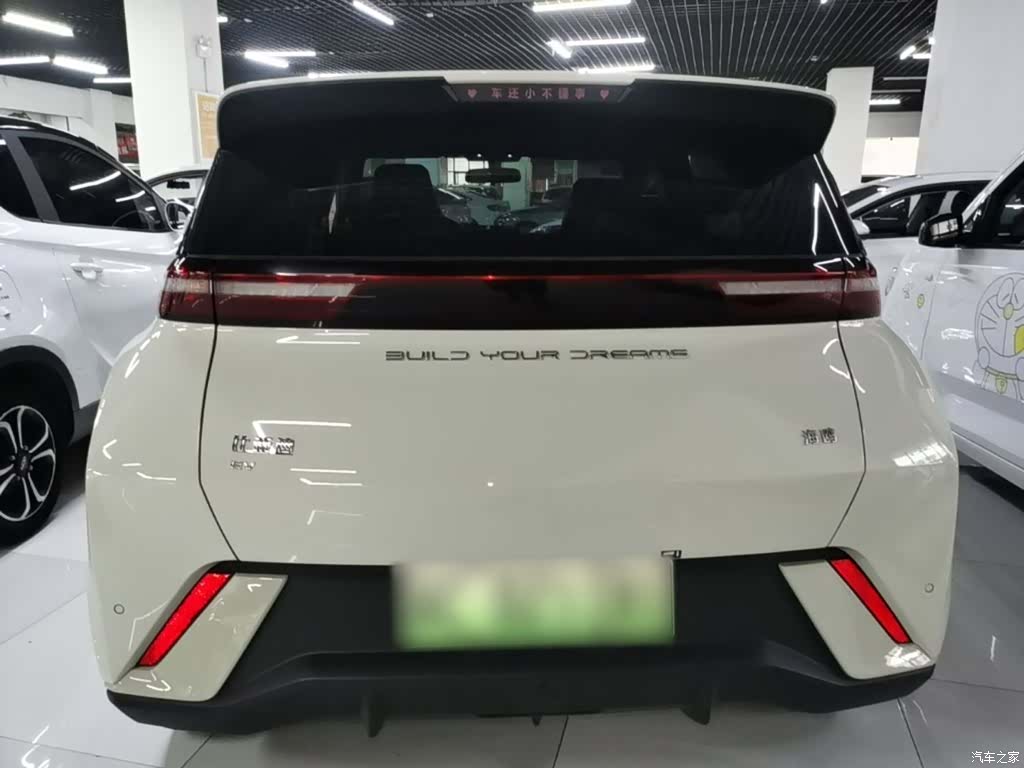 BYD Seagull, 2024 6