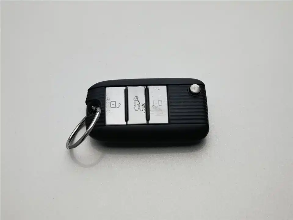 Roewe RX5 New energy