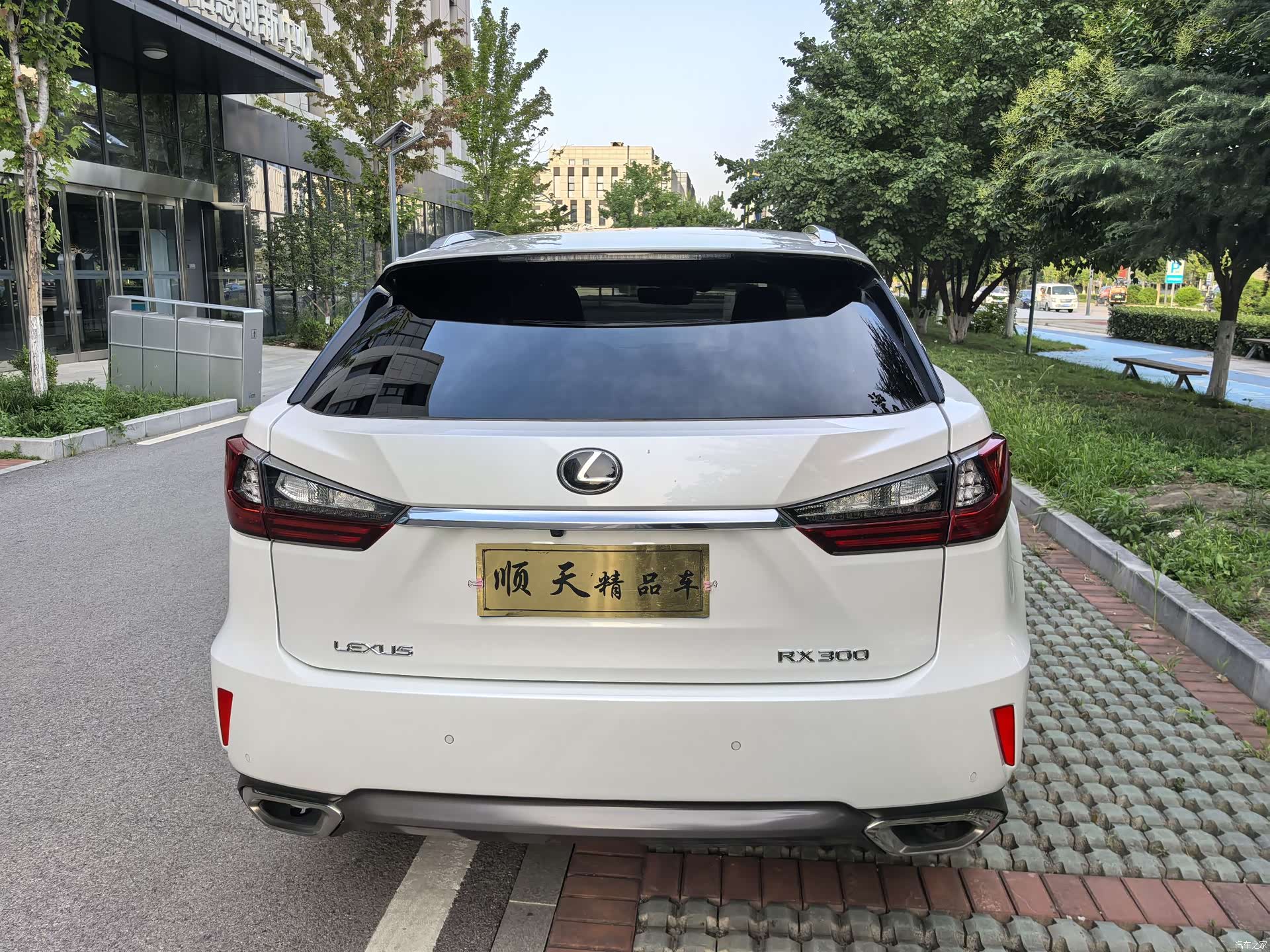Lexus RX, 2019 6