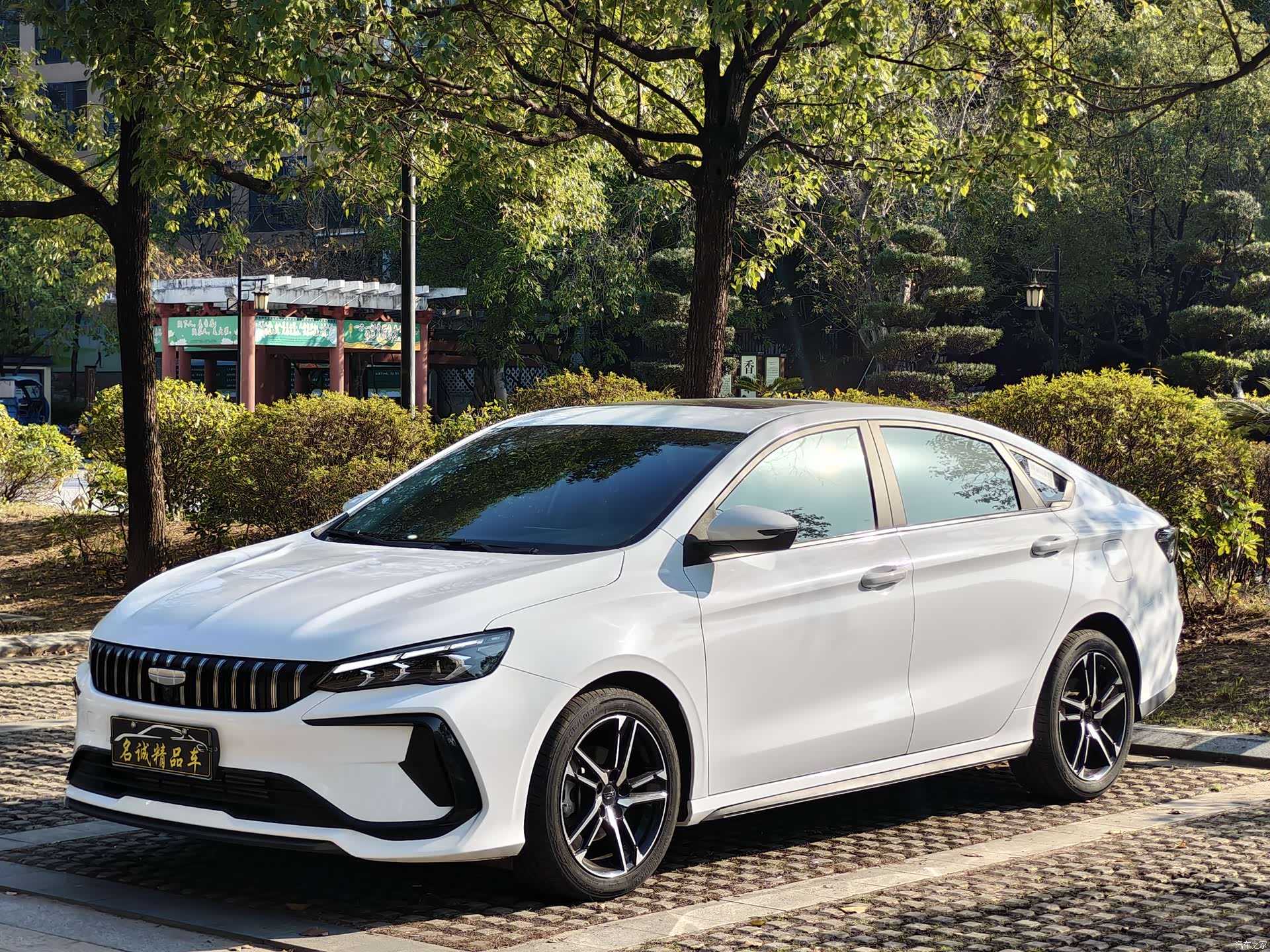 Geely Binray, 2024 1
